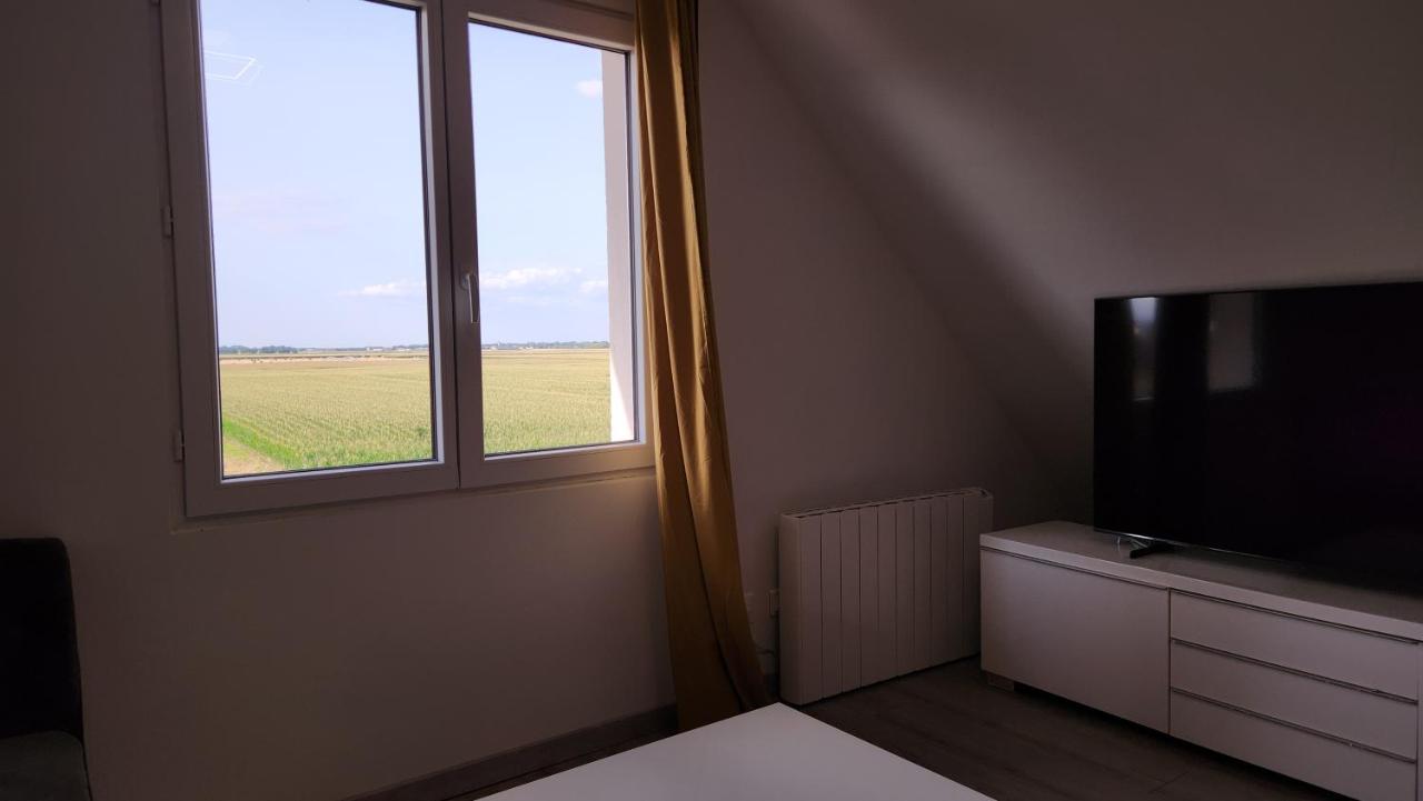 Appartement Vue Panoramique Sur La Plaine D'Alsace Andolsheim Exteriör bild
